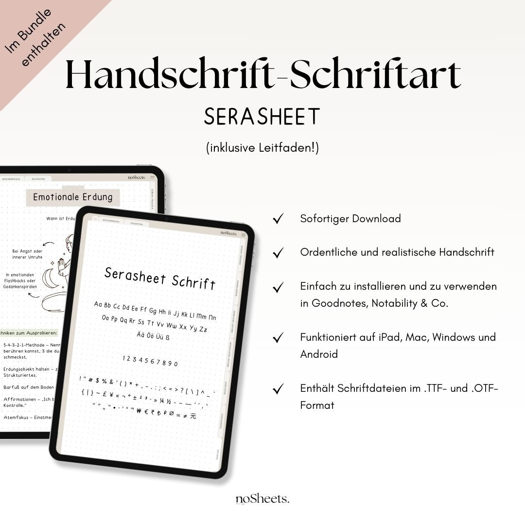 LehrerBundle 26/27 | Planer + Sticker + Schriftart